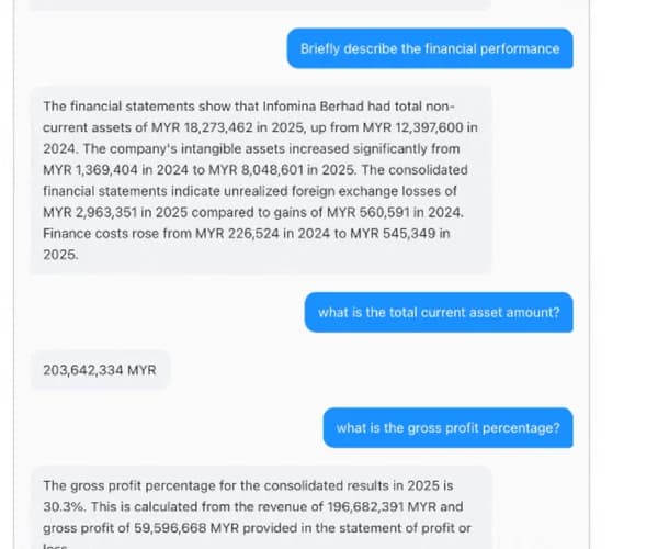 Mina - Business Reports Analyst